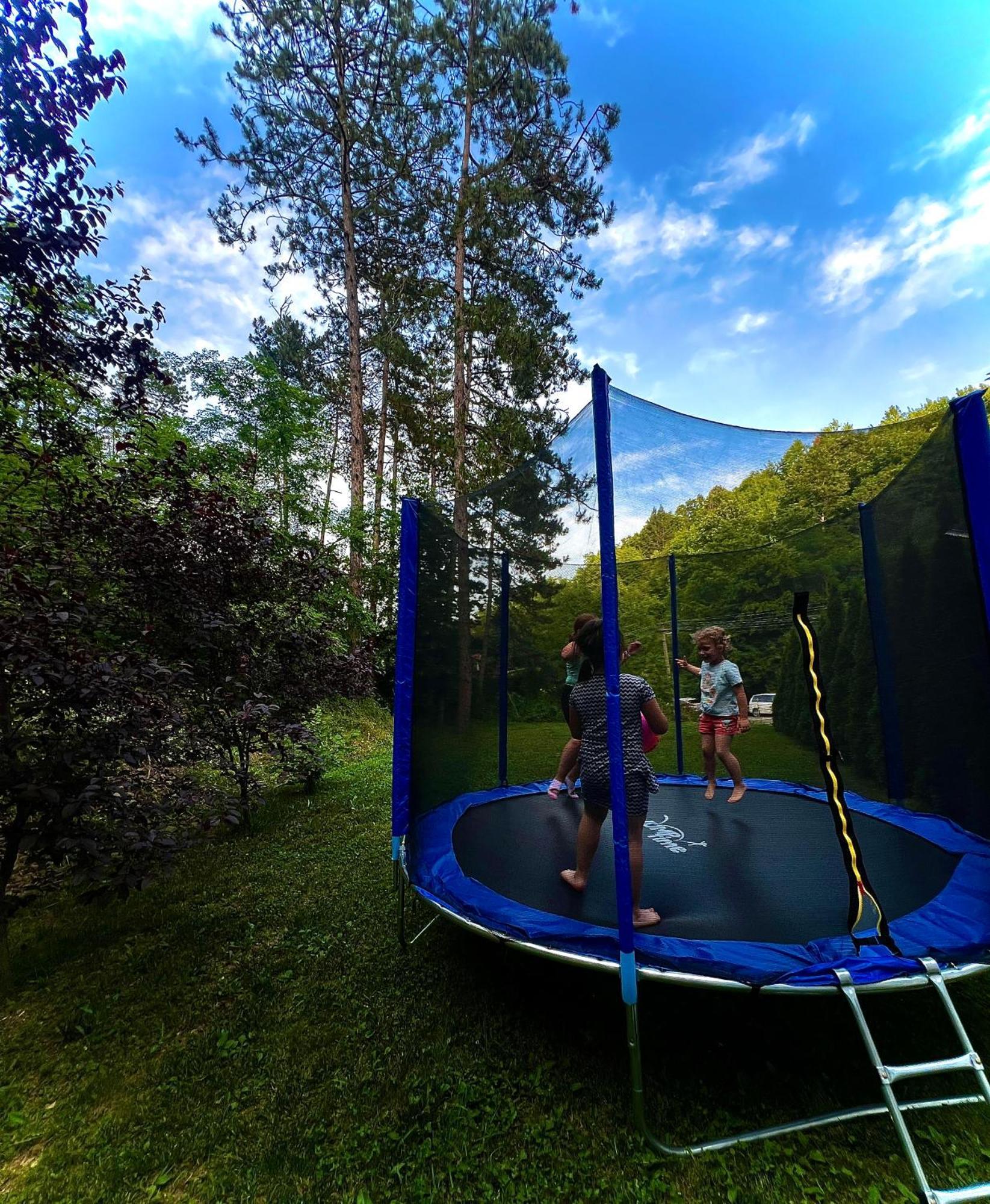 Bed and Breakfast Zeleni Dvor Рибарска Баня Экстерьер фото
